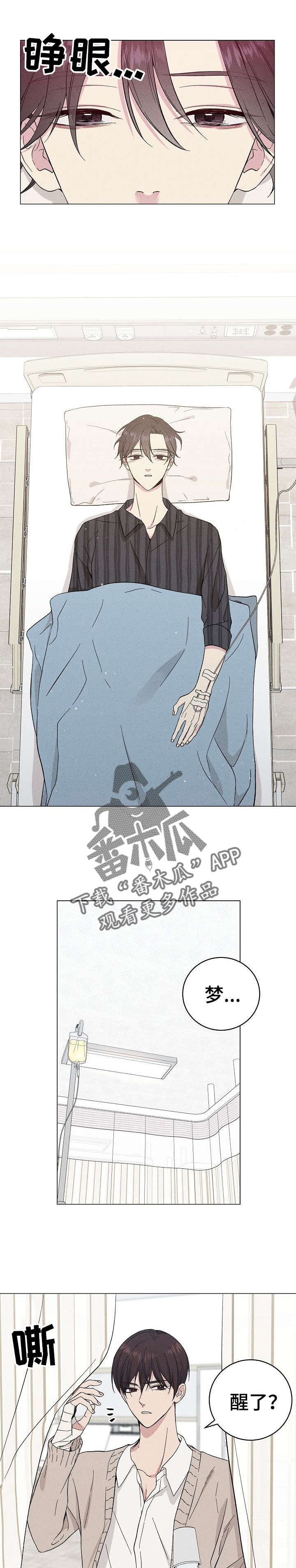 第31章：是梦4