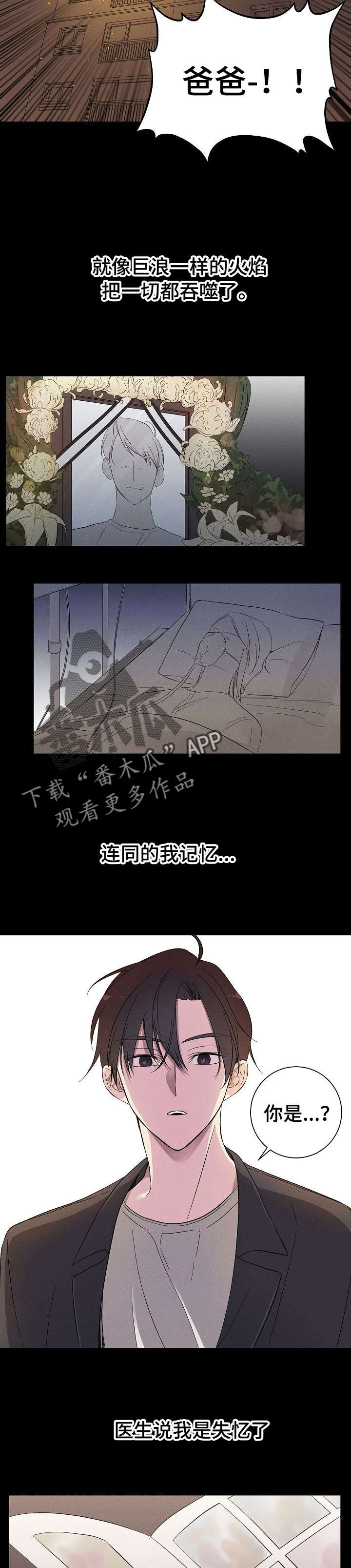 第2章：榛子糖浆7