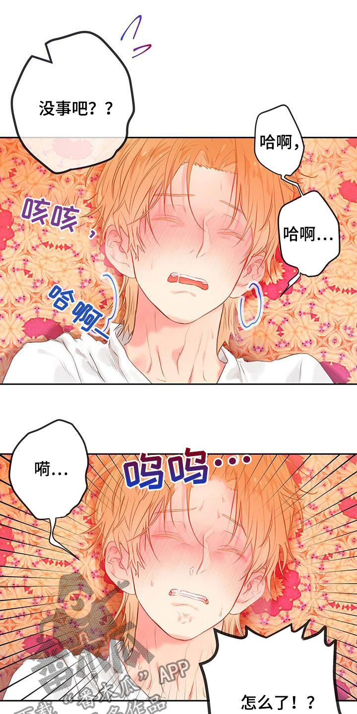 第28章：体验14