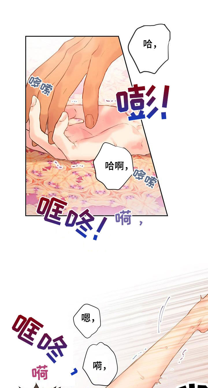 第28章：体验26