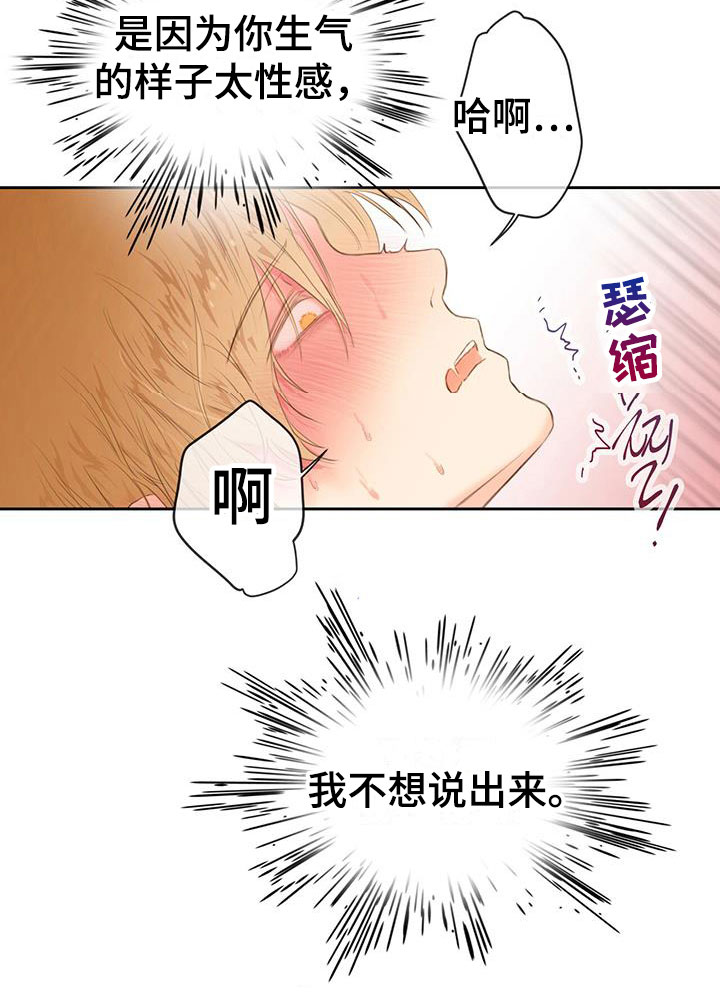 第22章：别认错15