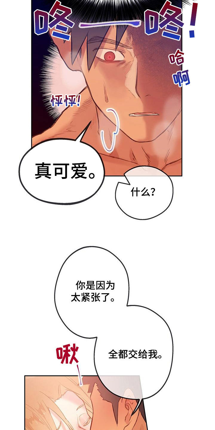 第28章：体验16