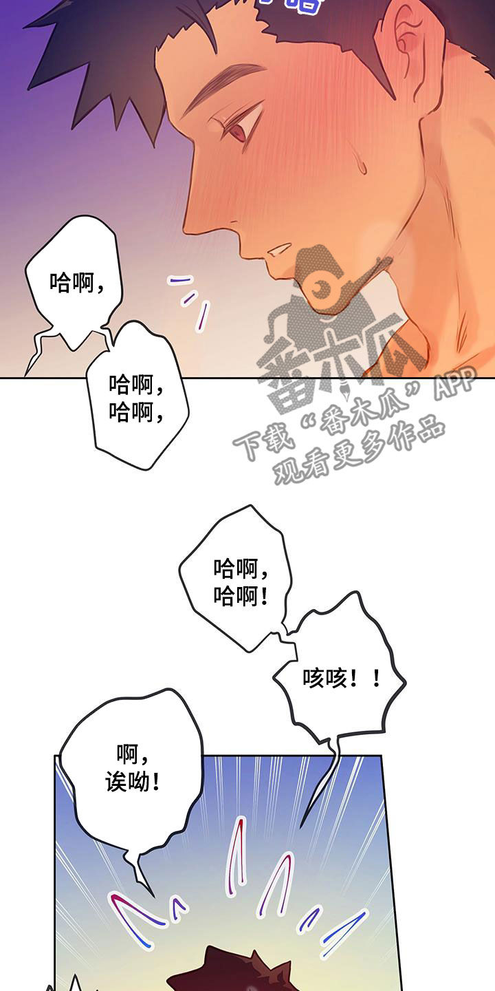 第28章：体验12