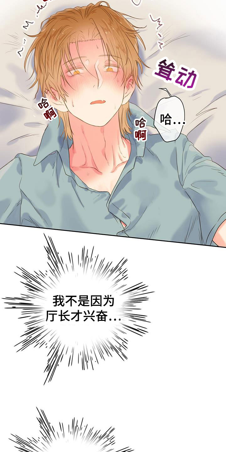 第22章：别认错14