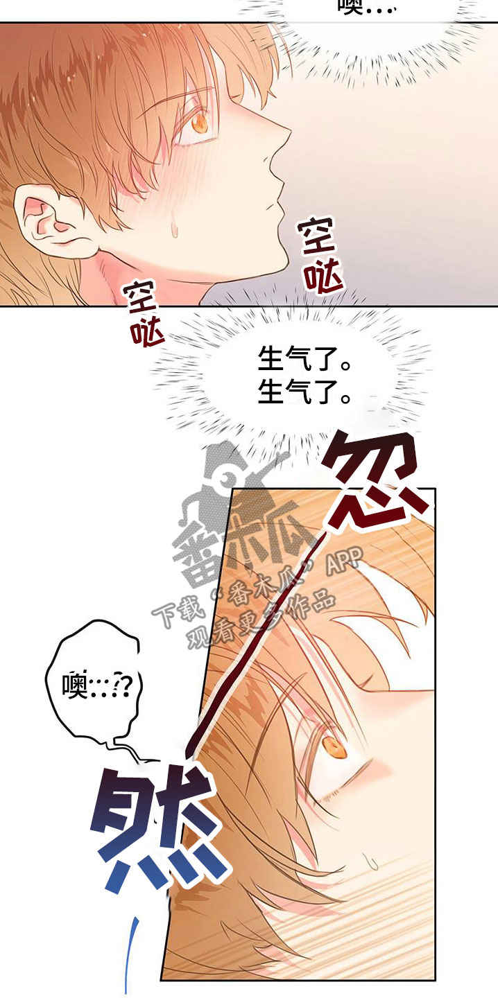 第20章：挑衅17