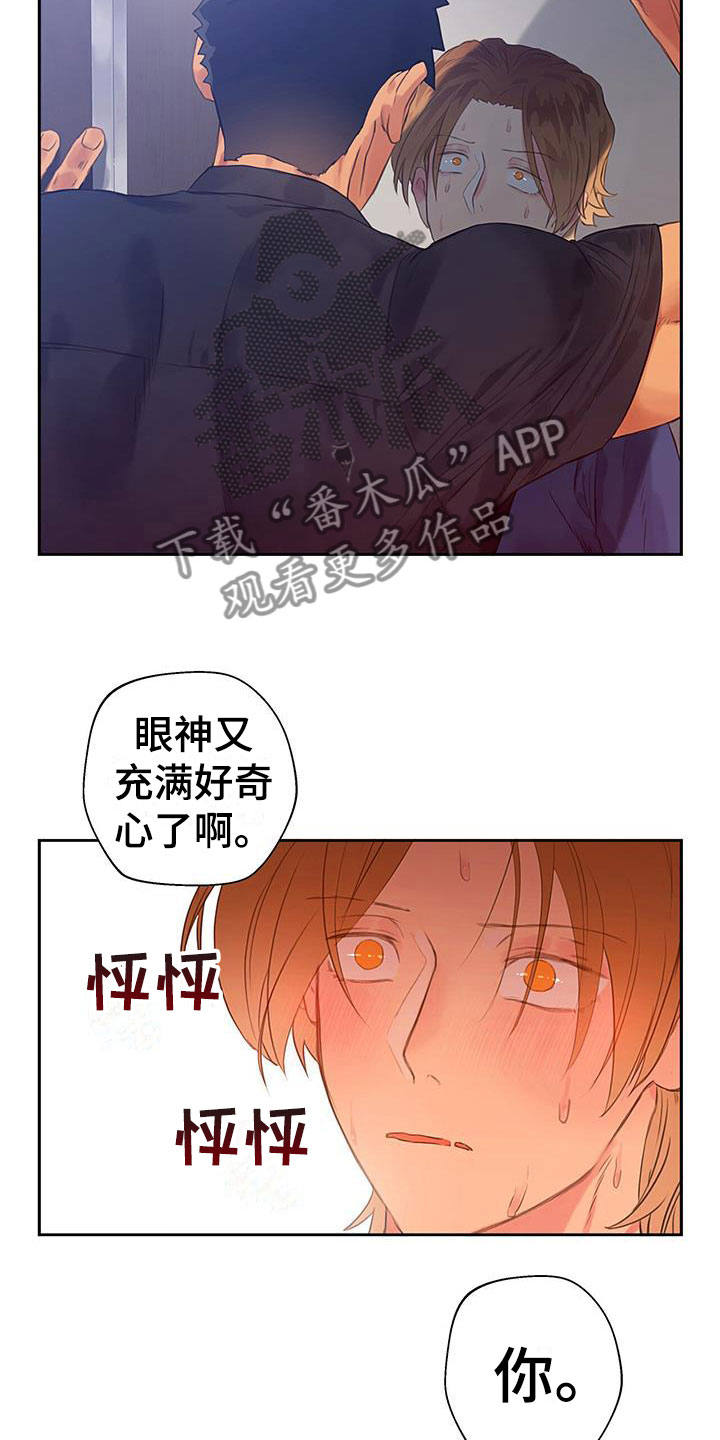 第8章：危险的人15