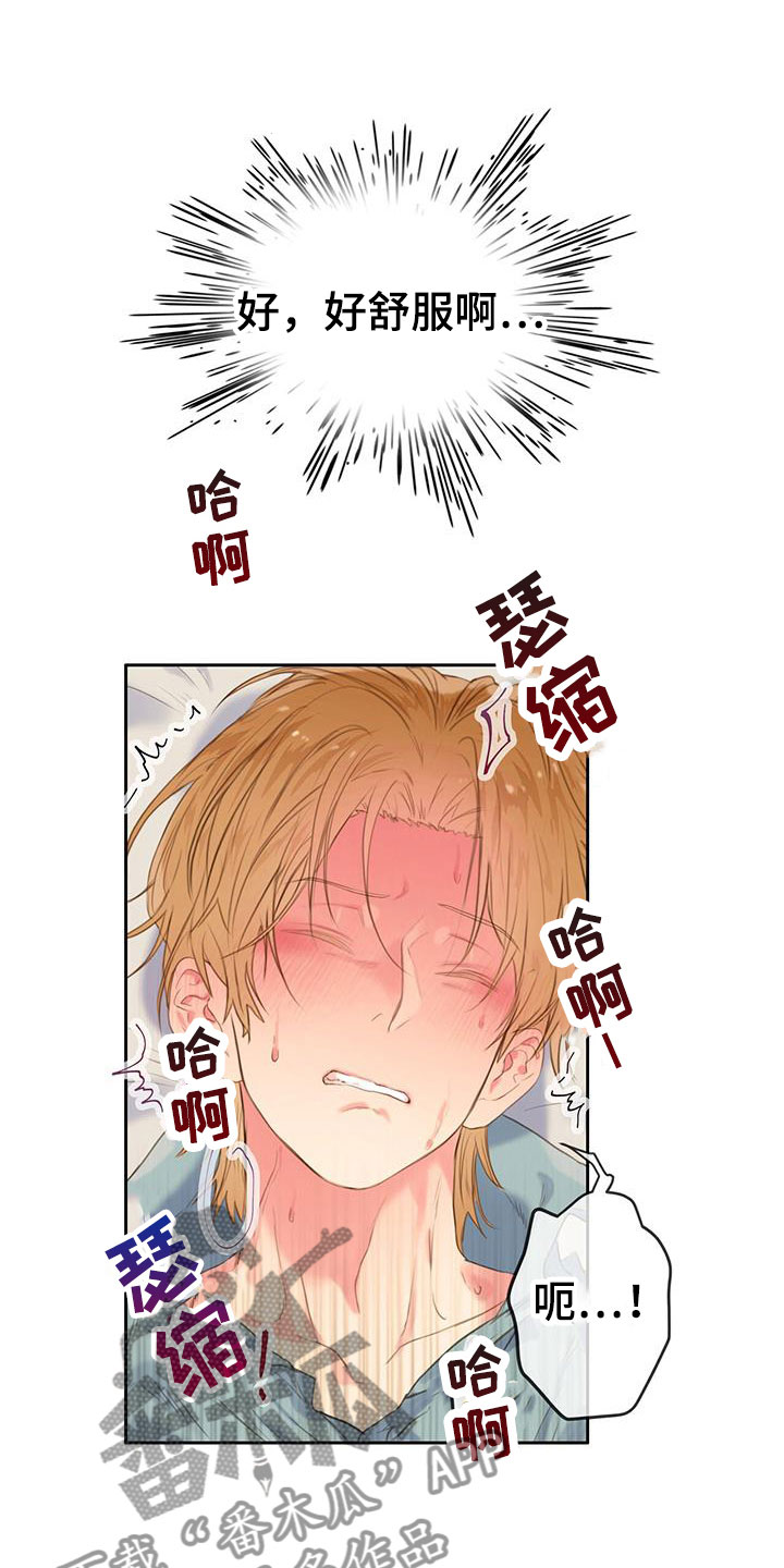 第22章：别认错16