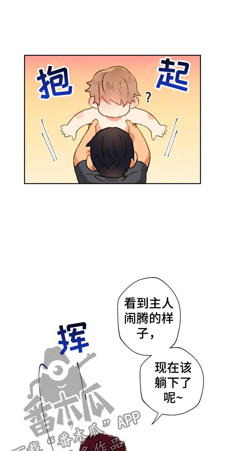 第12章：梦中的场景11