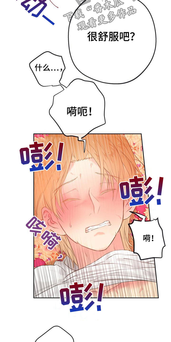 第28章：体验23