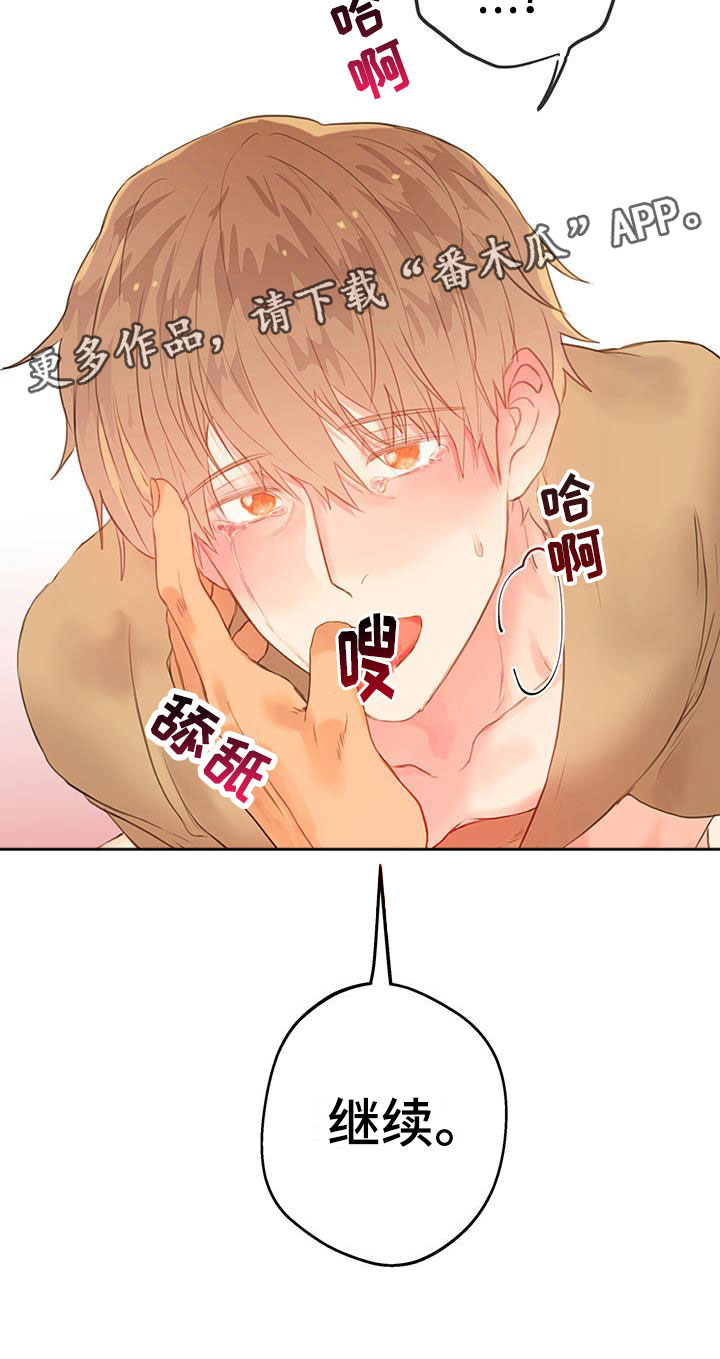 第11章：继续23