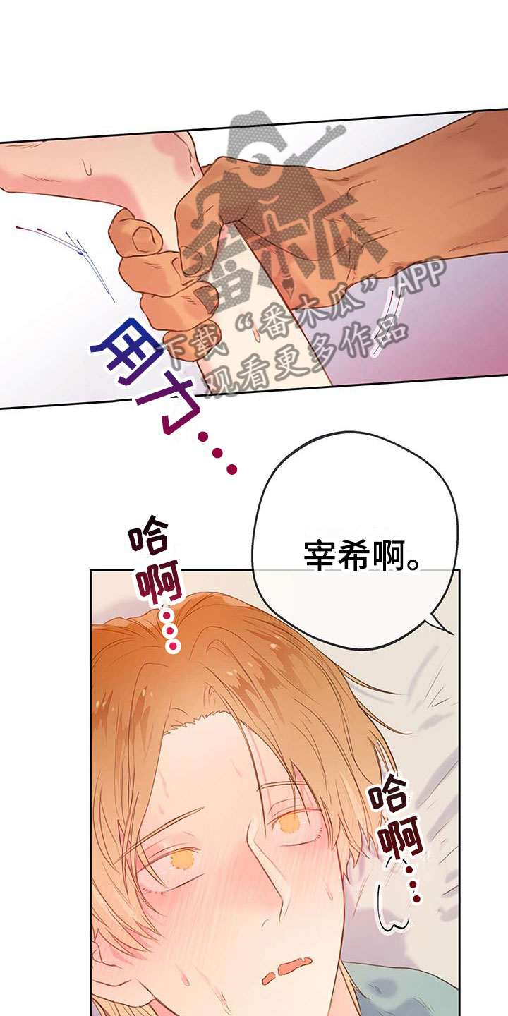 第22章：别认错21