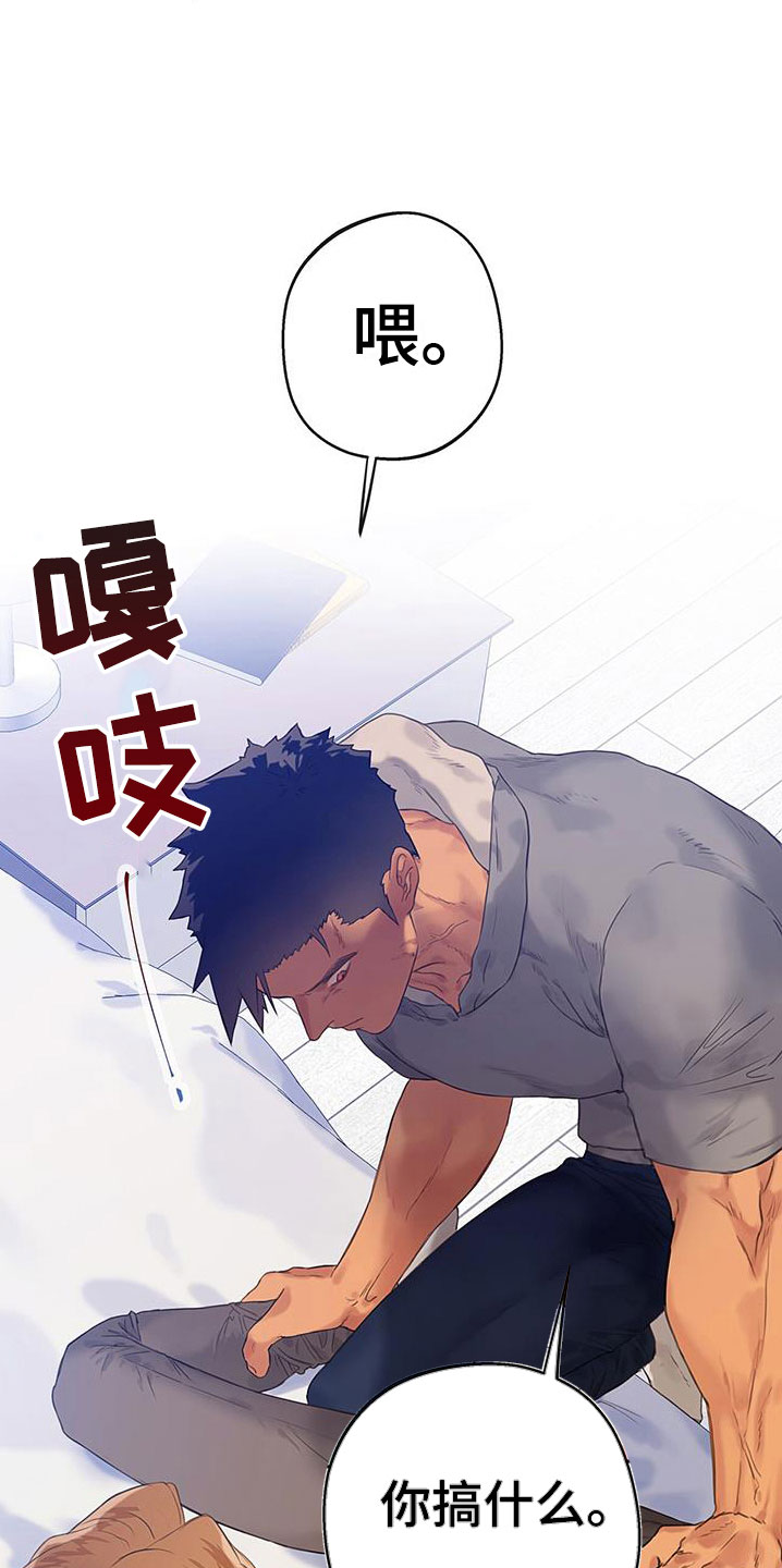 第20章：挑衅18