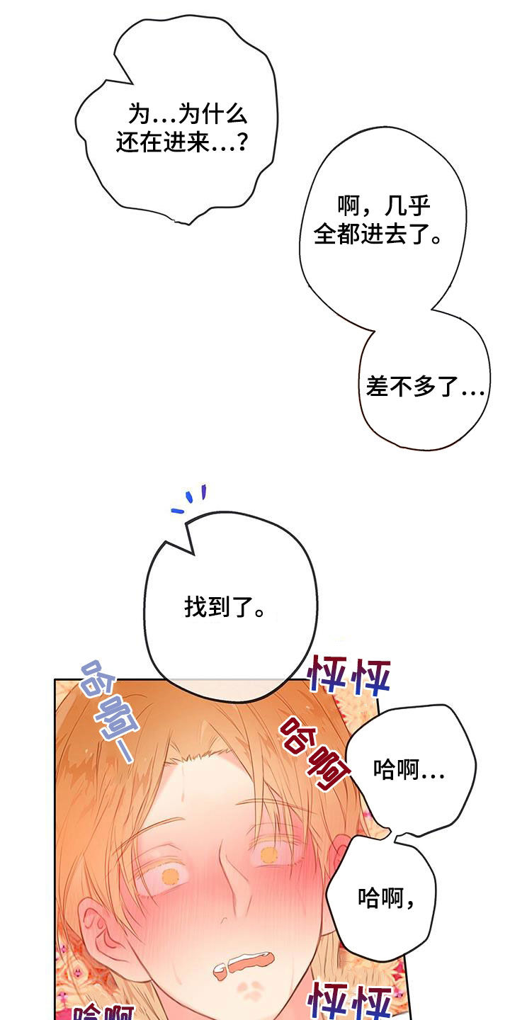 第28章：体验21