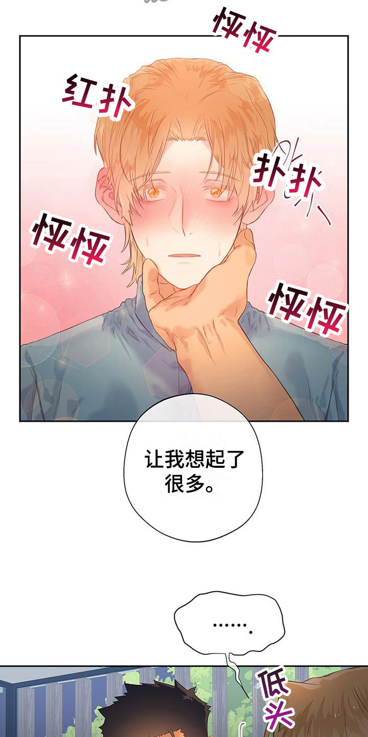 第19章：家庭聚餐14