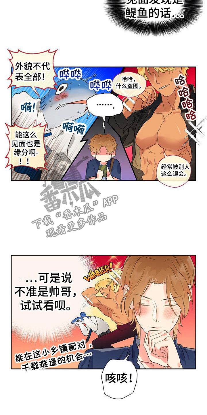第6章：软件寻友17