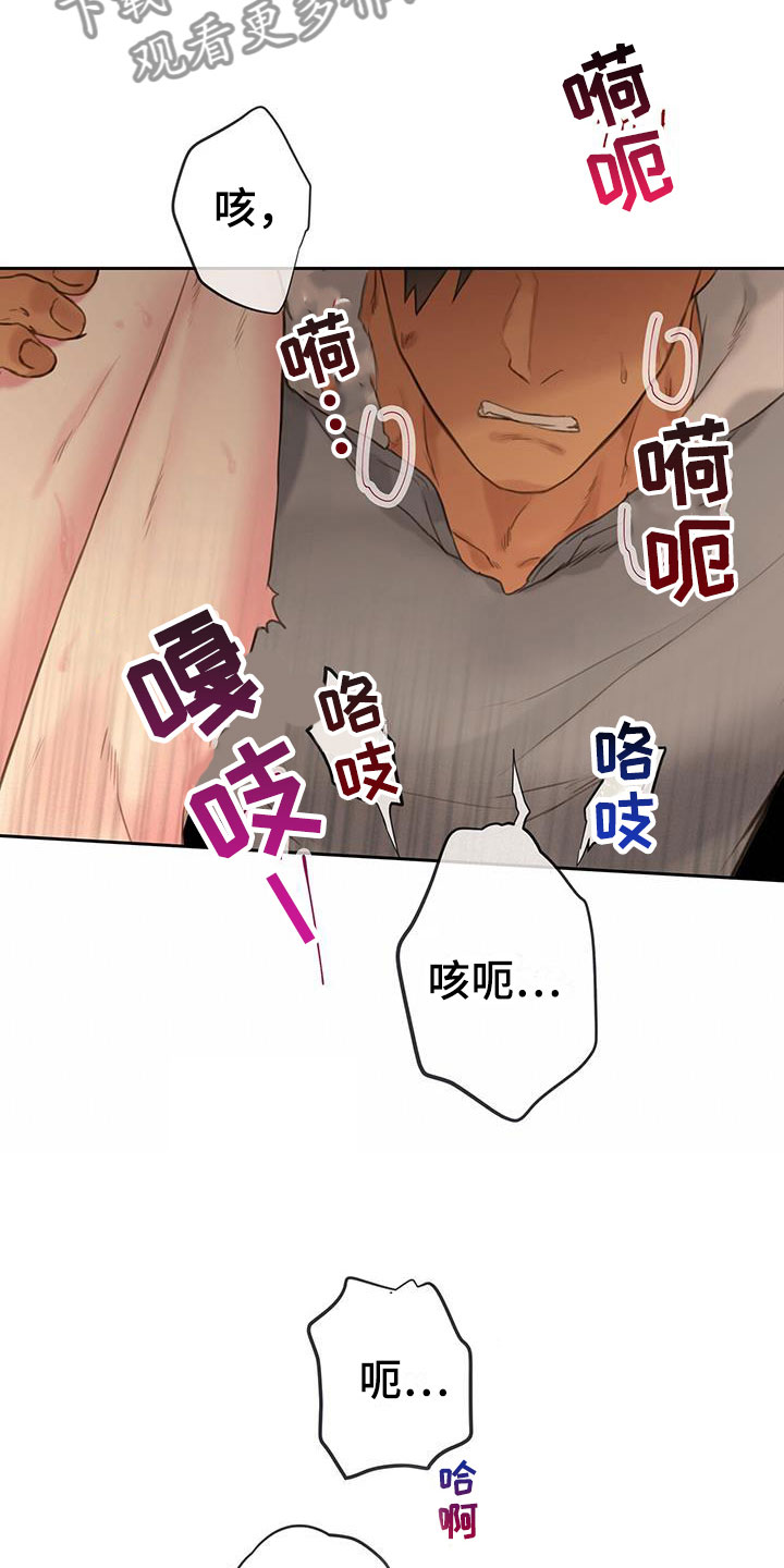 第22章：别认错17