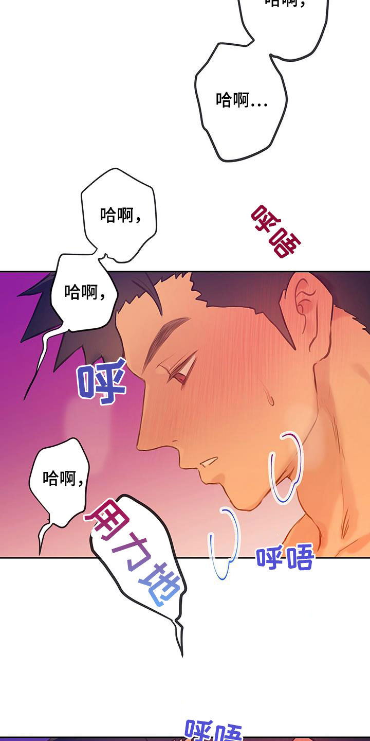 第28章：体验11
