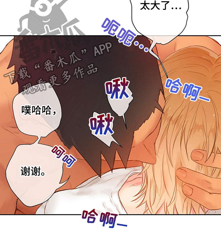 第28章：体验20