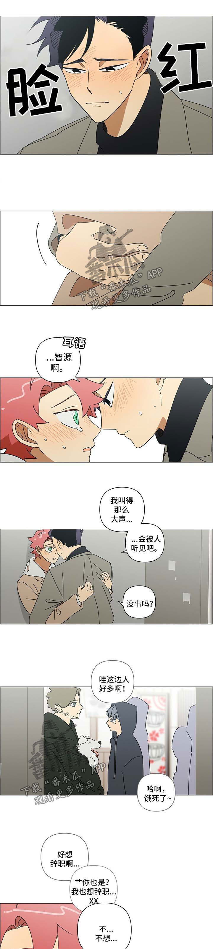 第27章：笨蛋0