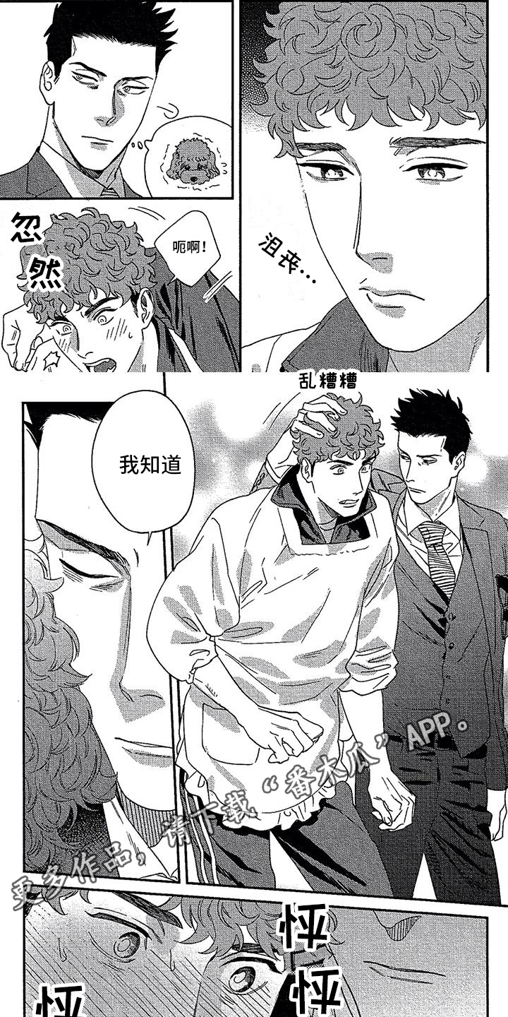 第19章：想法5