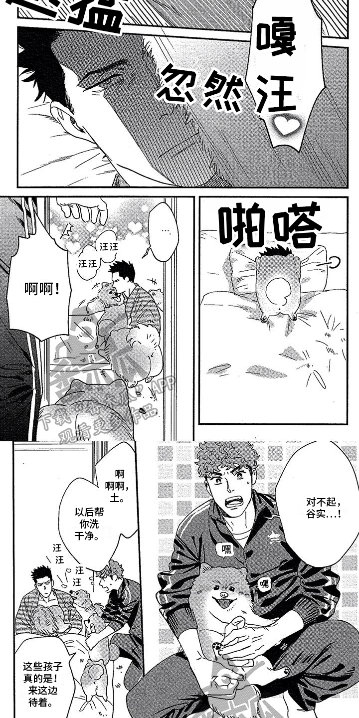 第18章：收养3