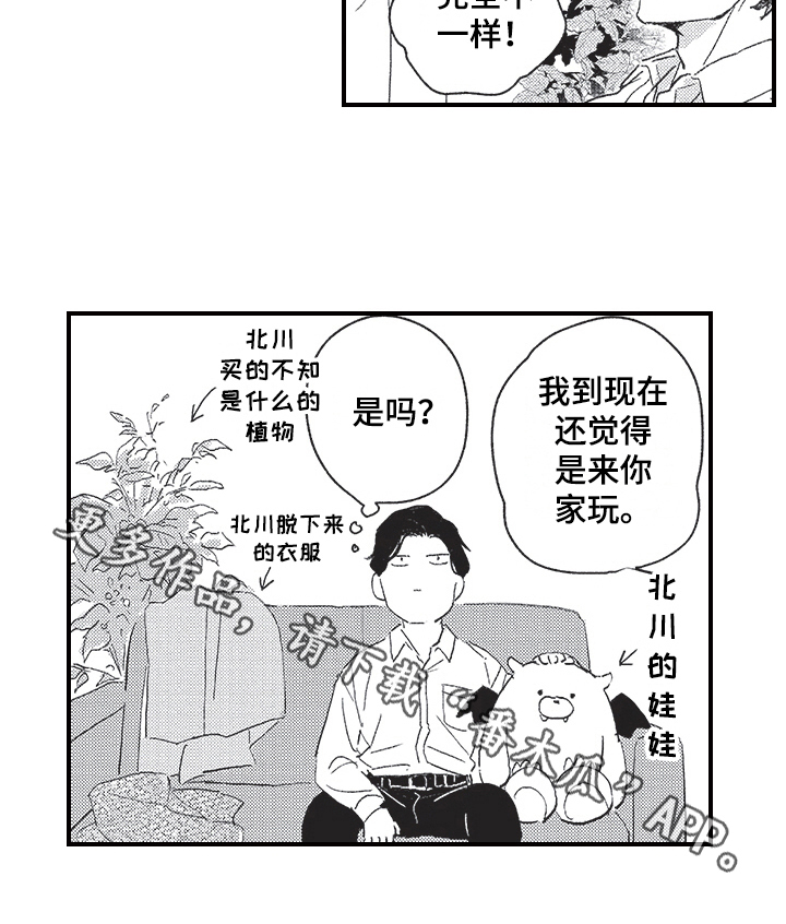 第19章：方法15