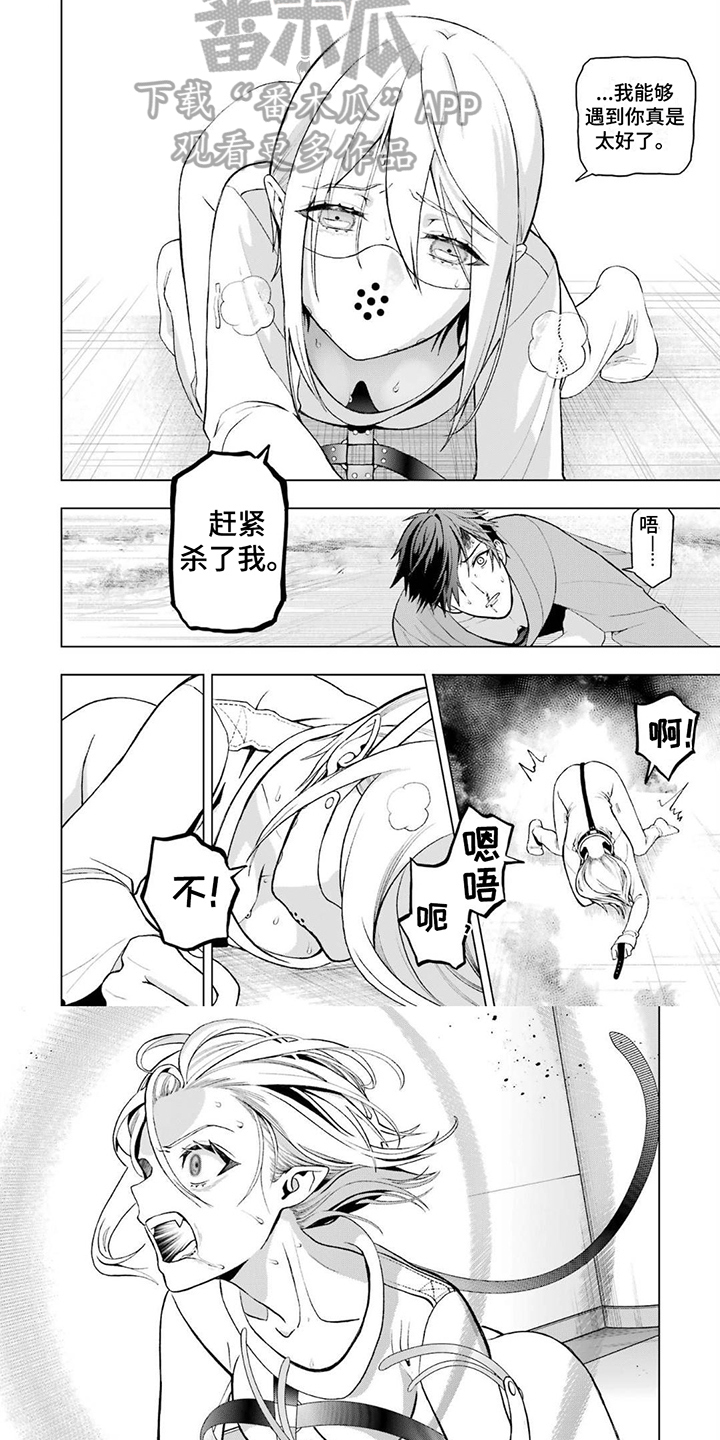 第14章：消灭5