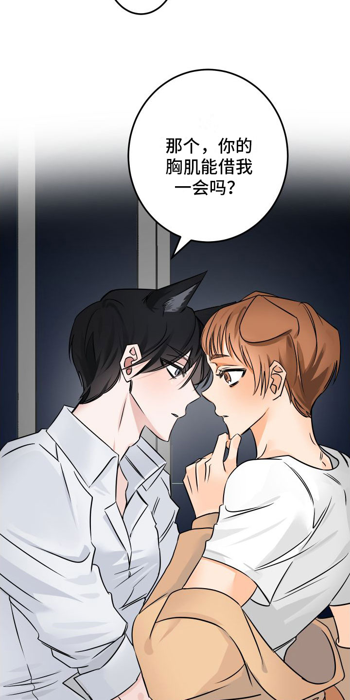 第2章：酒后安慰13
