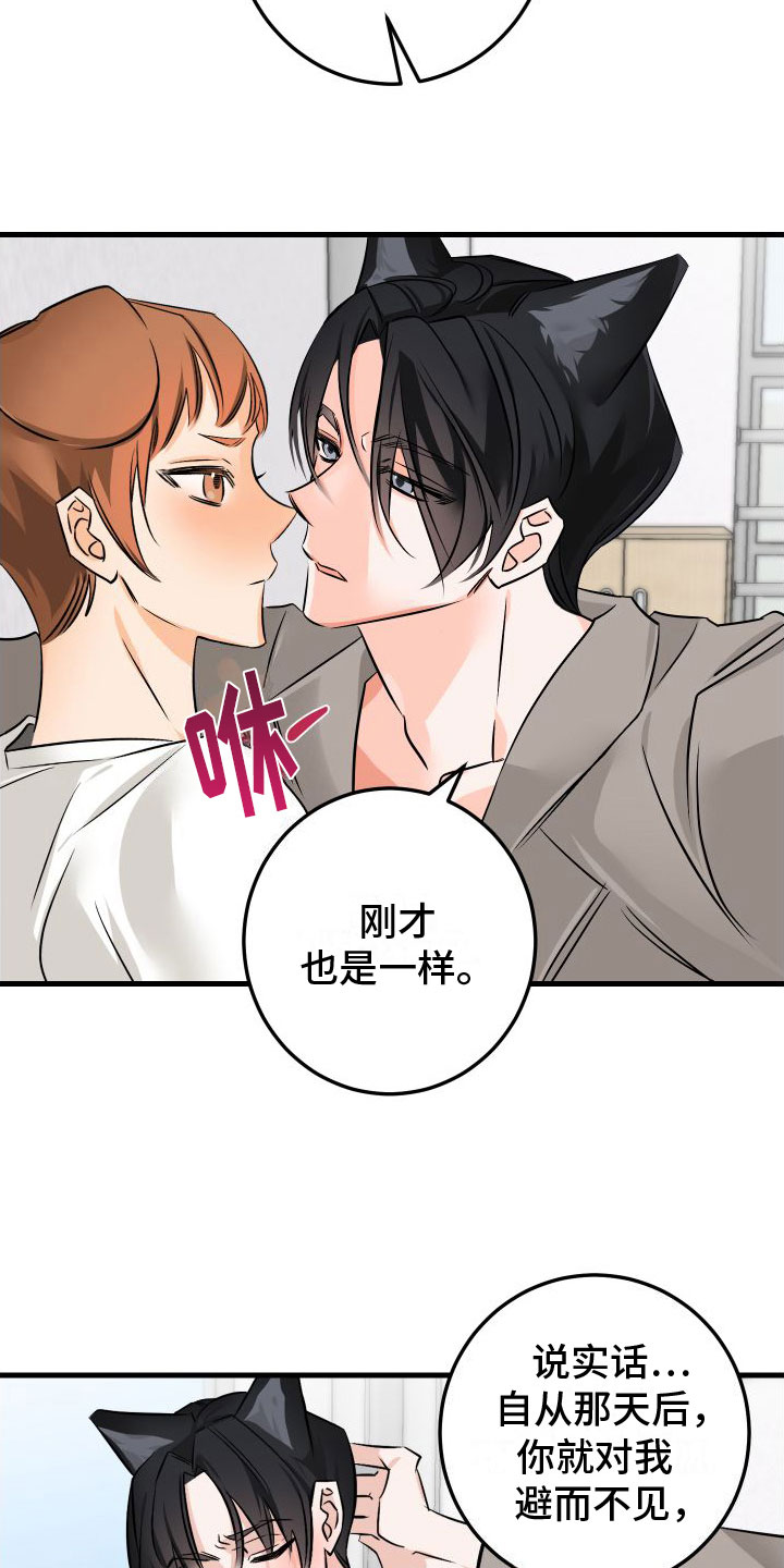 第5章：给我看看3