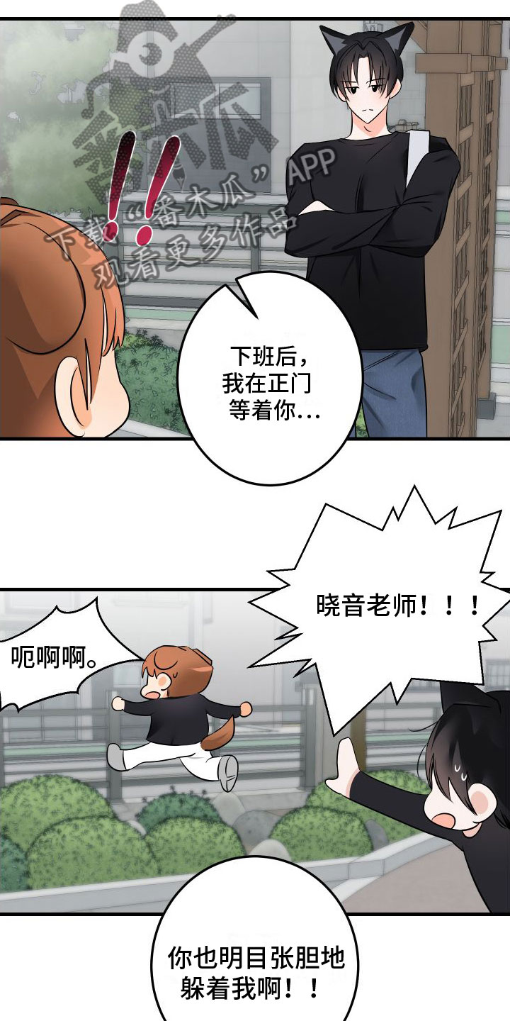 第5章：给我看看2