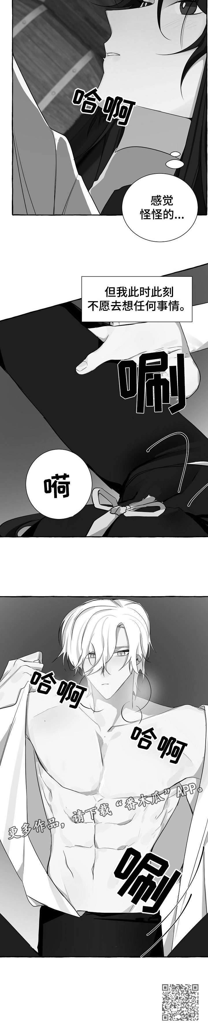 第17章：感觉11