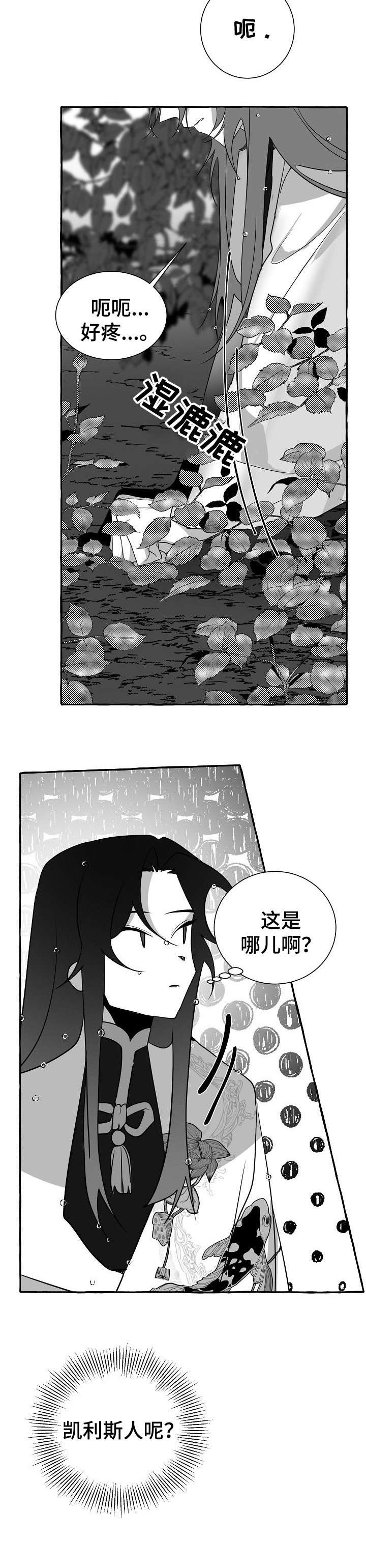 第15章：看看8