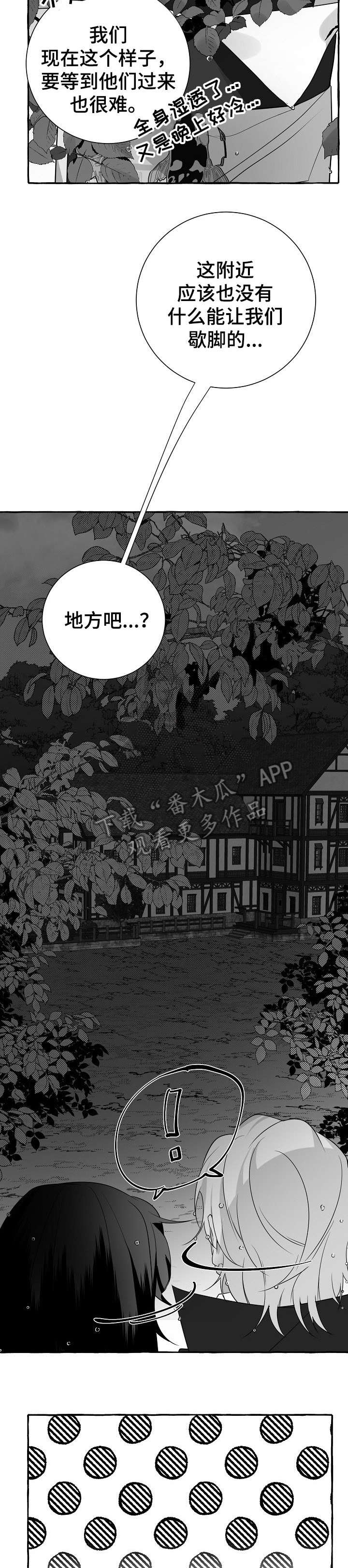 第15章：看看11