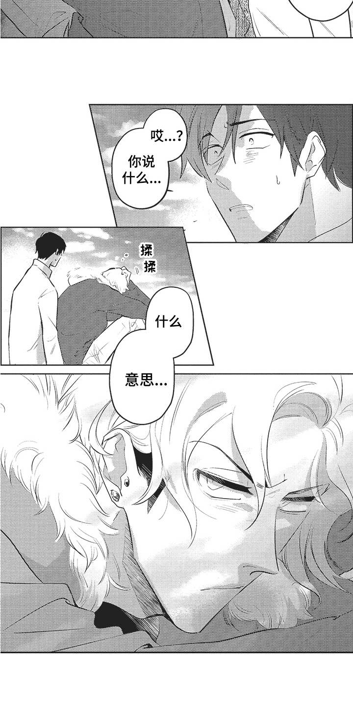 第16章：表白10