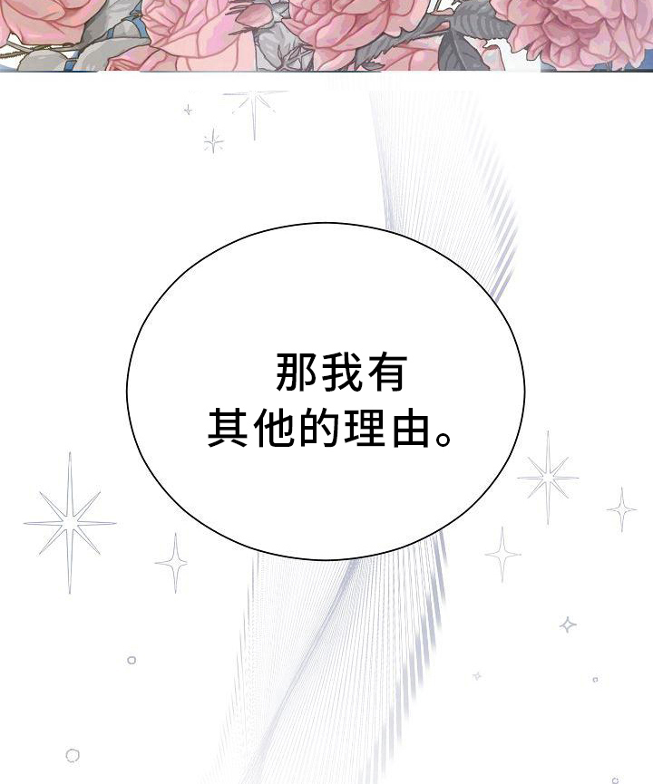 第14章：其他的理由15