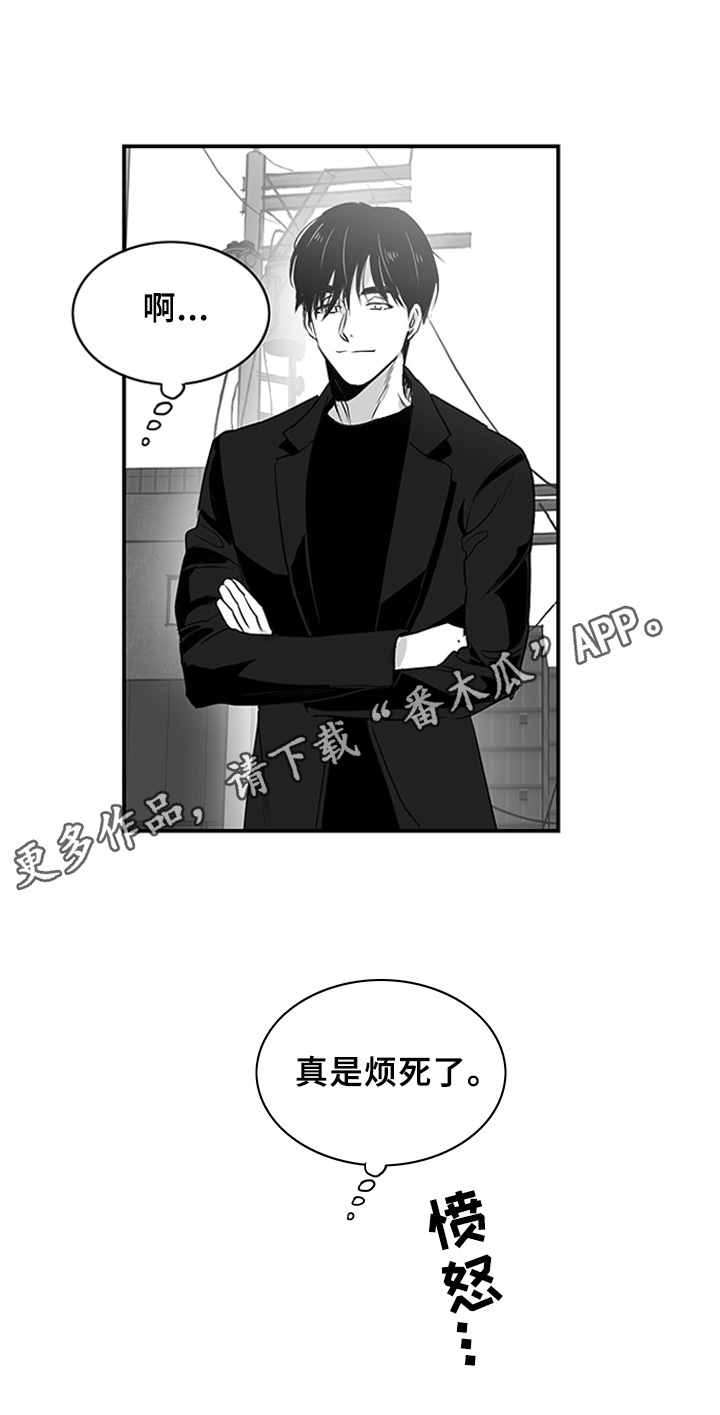 第6章：又恨又爱11