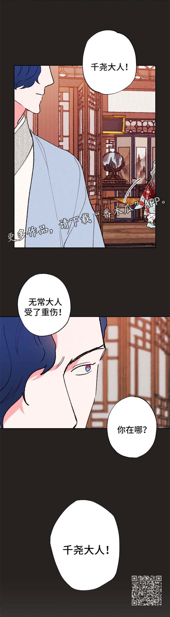 第44章：为什么11