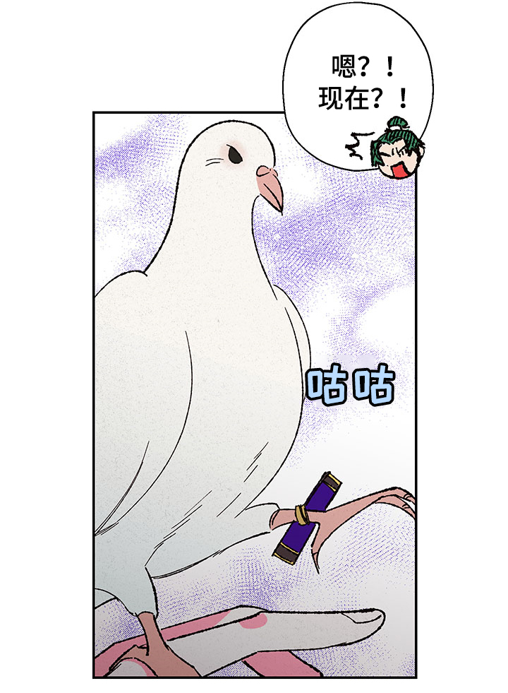 第117章：【第三季】如意珠回来了10