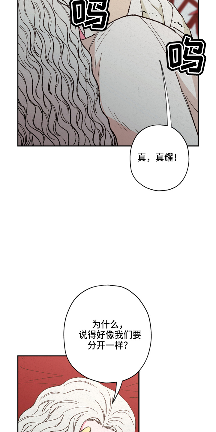 第156章：【第三季番外完结】家人28