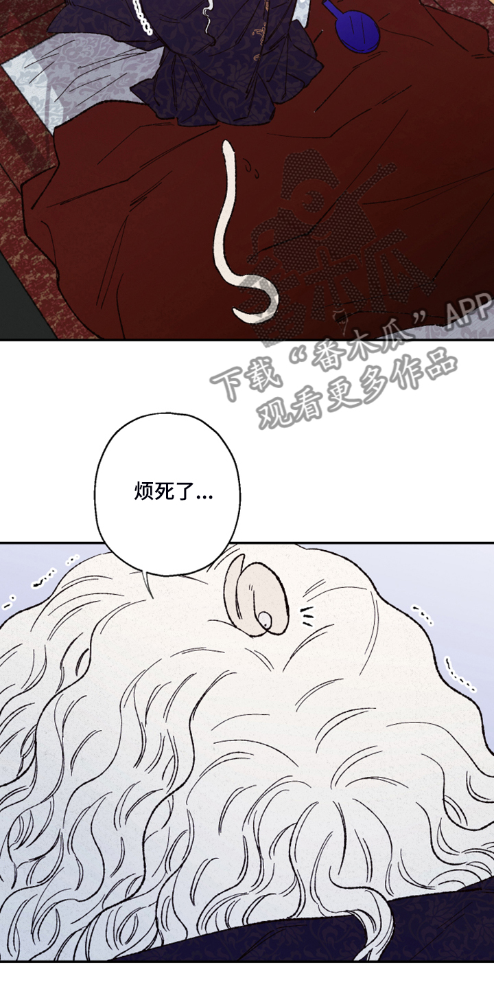 第127章：【第三季】让我看看2