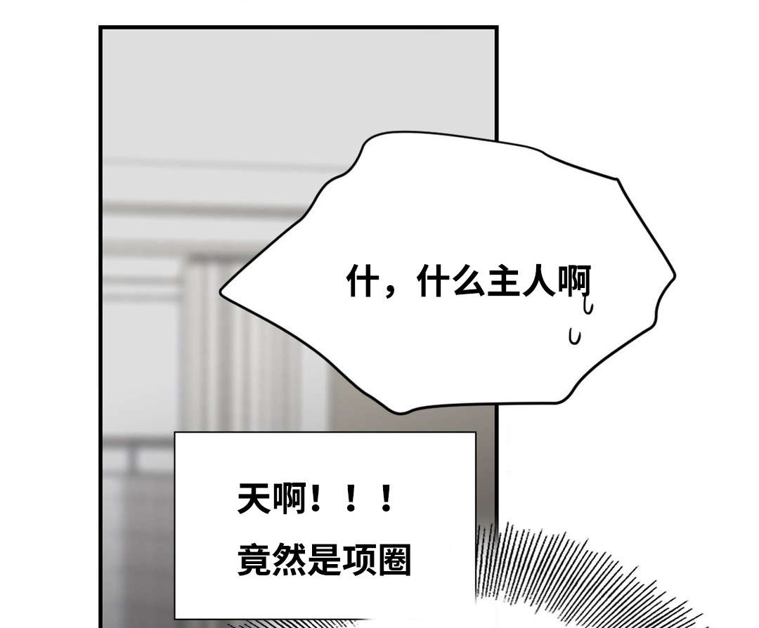 第10章：背后写字3
