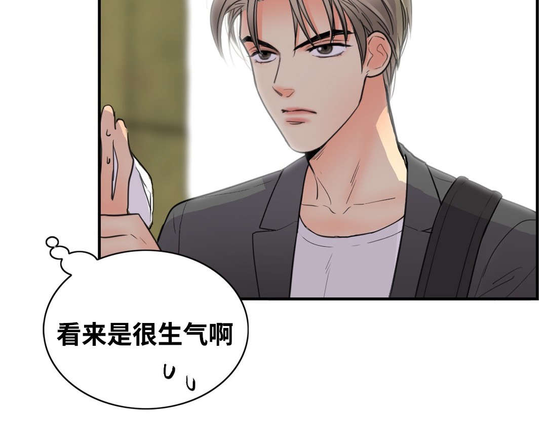 第20章：完美评价2