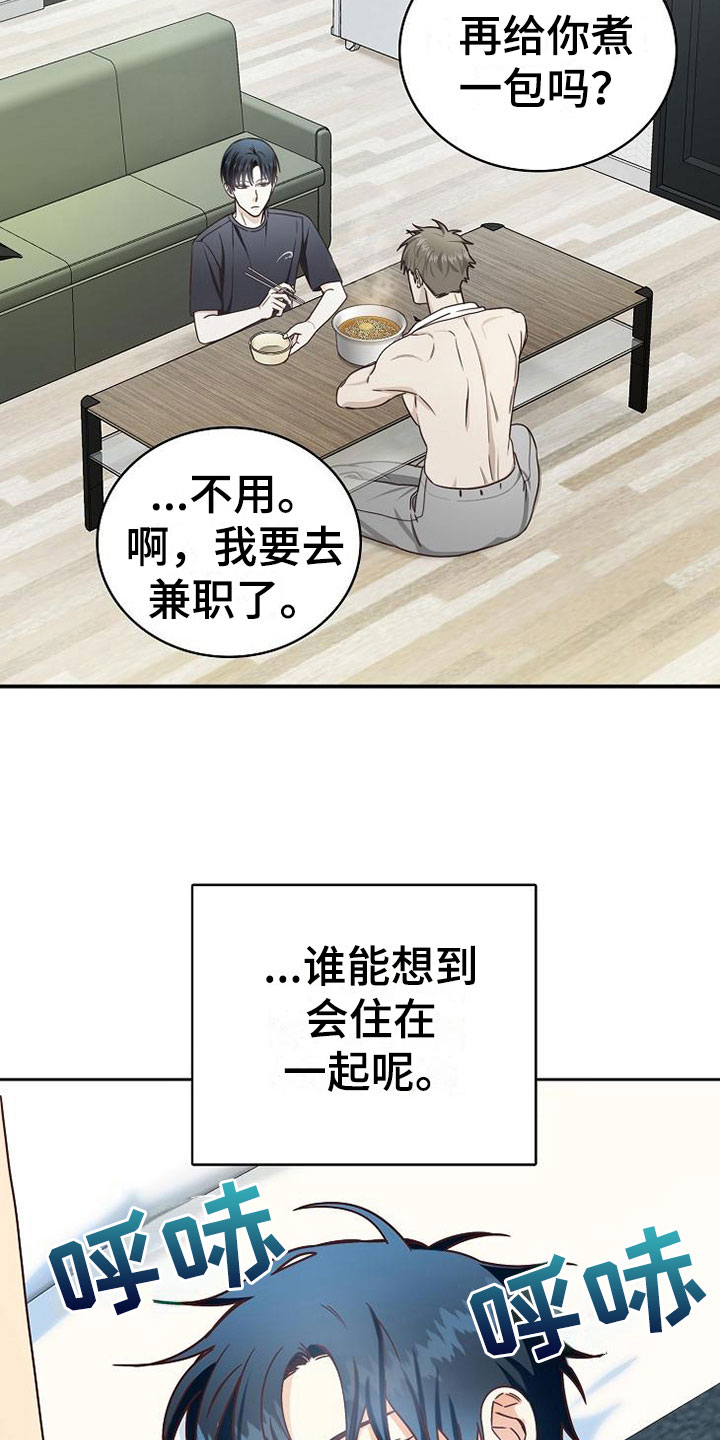 第20章：理想型26