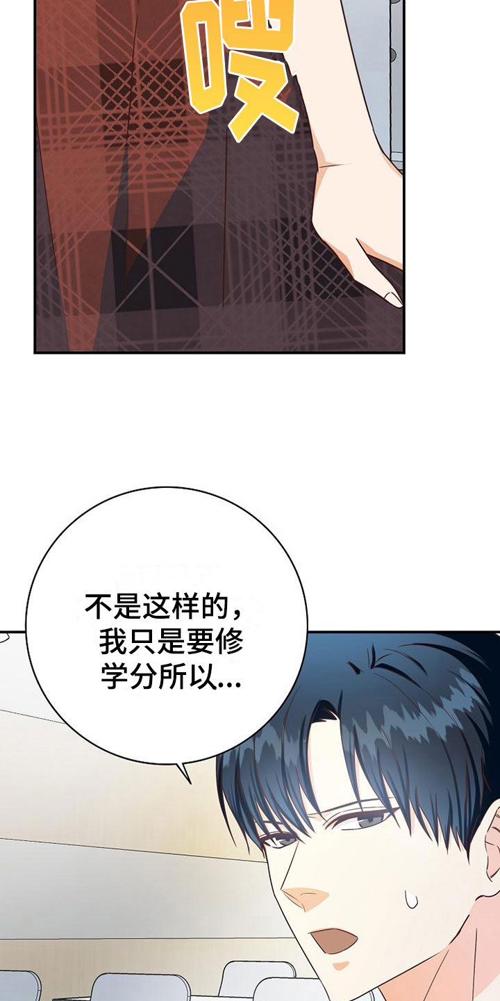 第13章：小组课题20