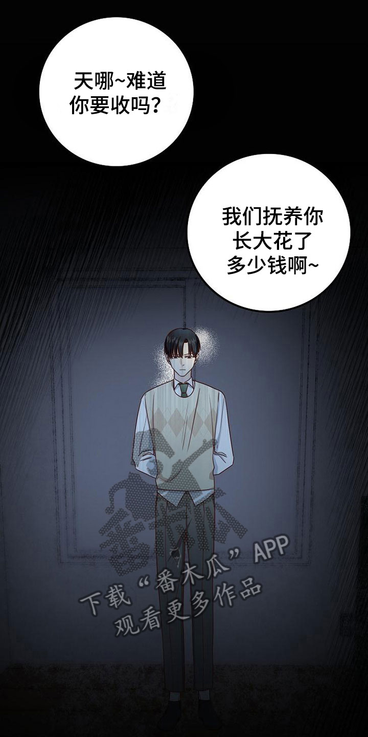 第11章：过去的日子11