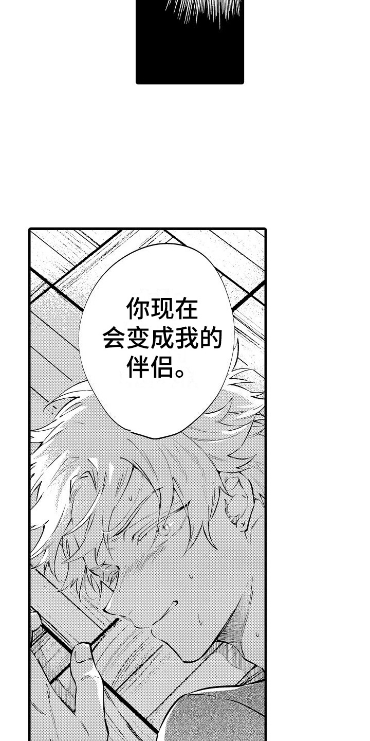 第19章：被抓 12