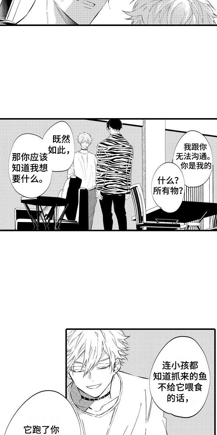 第2章：条件8