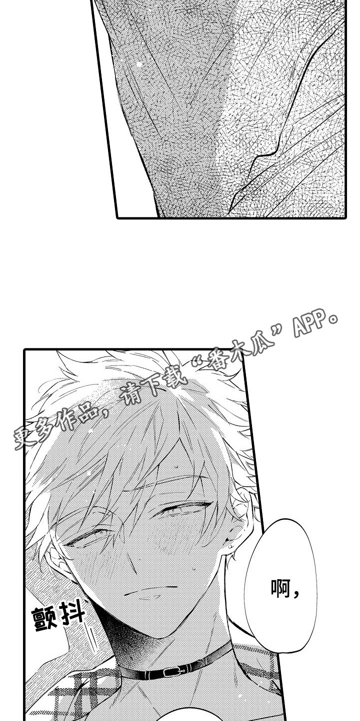 第4章：态度一样3