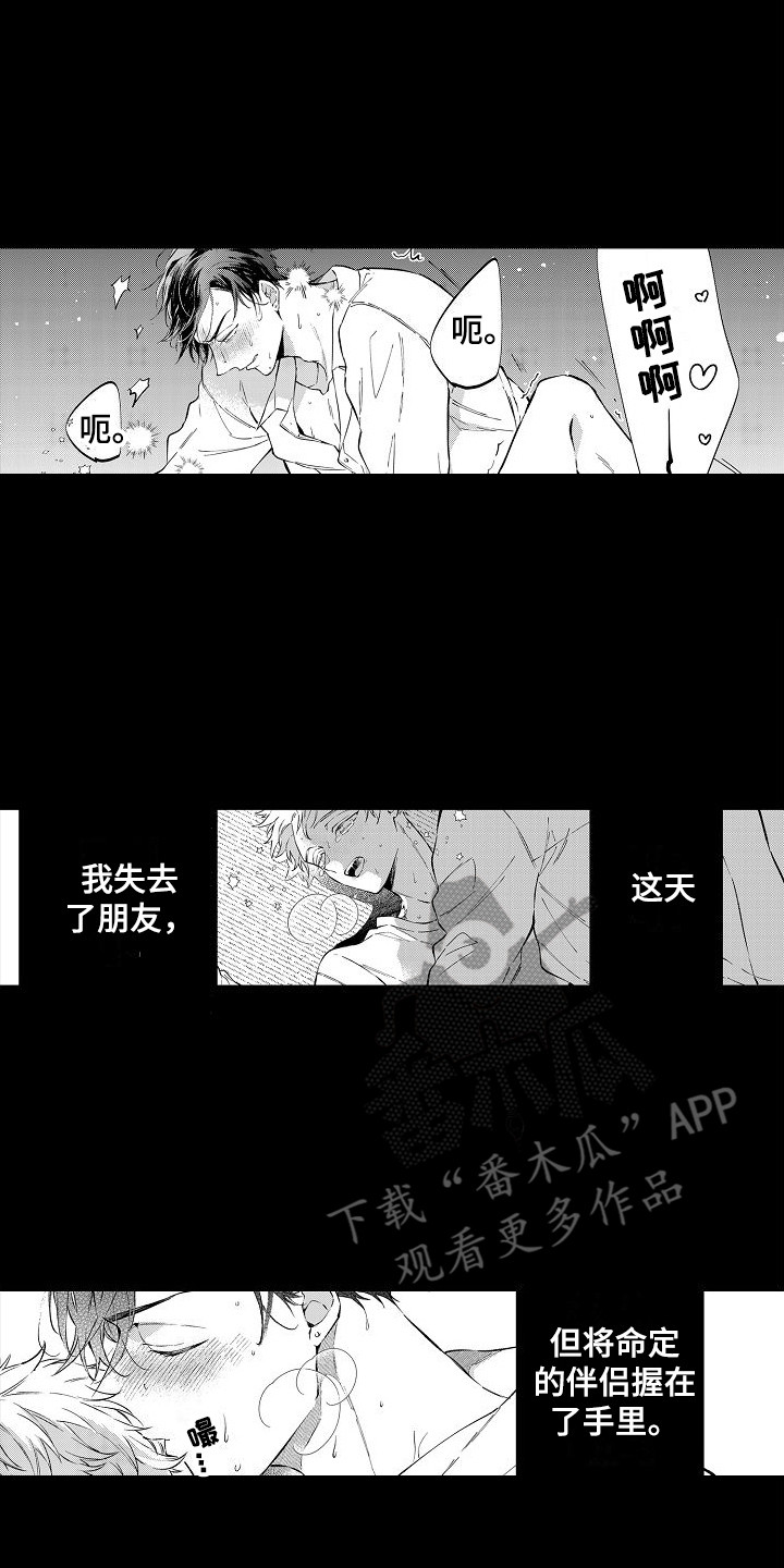 第16章：握在手中 12