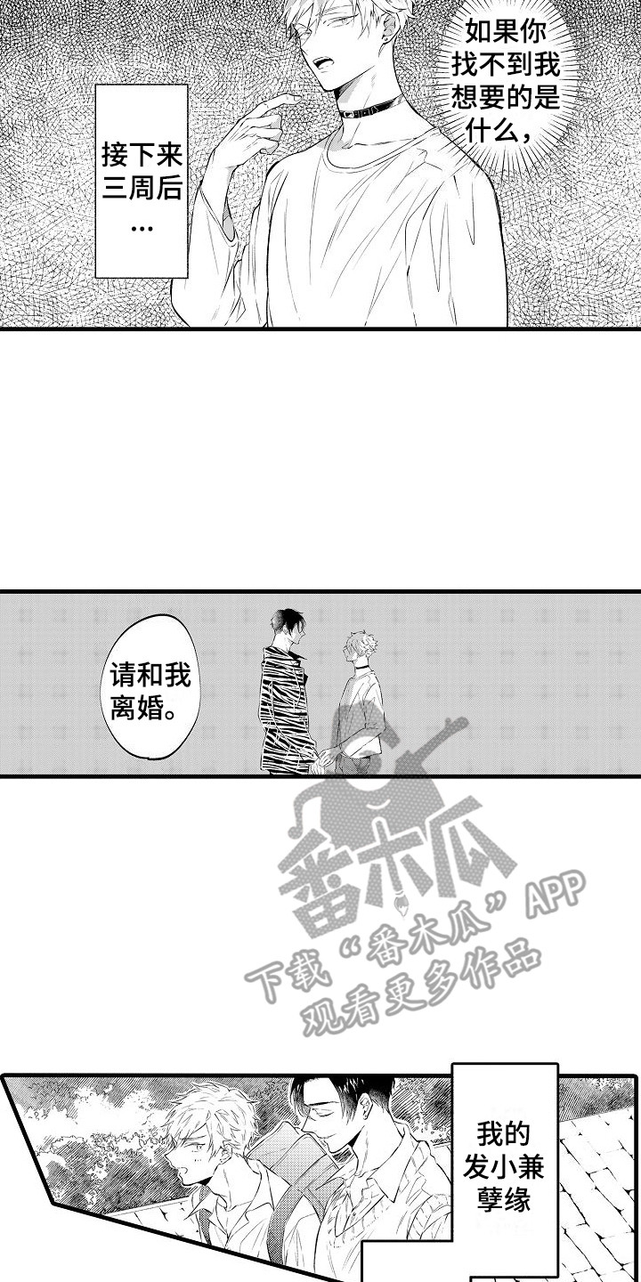 第4章：态度一样6
